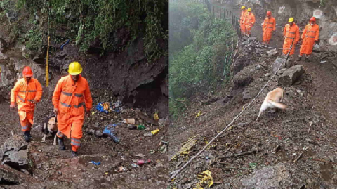 यमुनोत्री पैदल मार्ग पर भूस्खलन के बाद राहत, मलबा हटाकर मार्ग किया गया सुचारु..