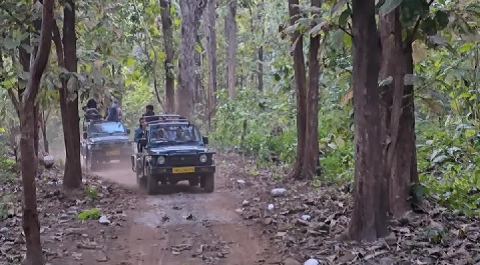 जिम कॉर्बेट टाइगर रिजर्व में डे सफारी अगले आदेश तक बंद, करोड़ों का नुकसान..