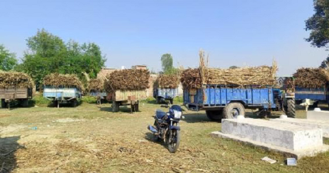 उत्तराखंड की चीनी मिलों को आवंटित हुए गन्ना क्रय केंद्र, किसानों के भुगतान पर सख्त निर्देश..