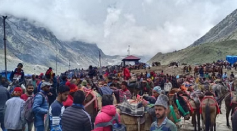 चारधाम यात्रा में घोड़ा-खच्चरों के लिए नई SOP लागू, पशु क्रूरता पर सख्त कार्रवाई..